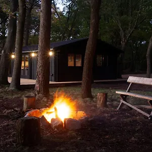 the-new-forest-cabin.bournemouth-hotels.org/